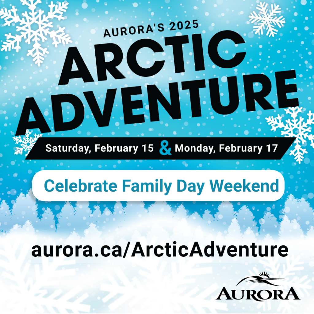 Aurora’s Arctic Adventure